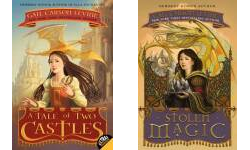 The A Tale of Two Castles Publication Order Book Series By  