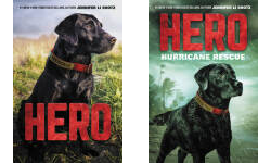 The Hero Publication Order Book Series By  