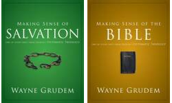 The Making Sense of... Publication Order Book Series By  
