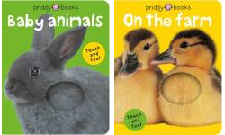 The Bright Ba Publication Order Book Series By  