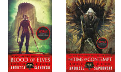 The The Witcher Publication Order Book Series By  