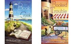 The Lighthouse Library Mystery Publication Order Book Series By  