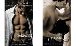 The Damaged Publication Order Book Series By  
