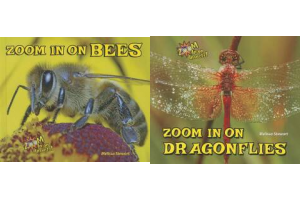 The Zoom In on Insects! Publication Order Book Series By  