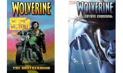 The Wolverine/Dark Wolverine Publication Order Book Series By  