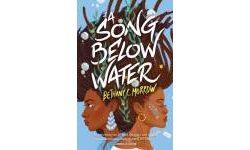 The A Song Below Water Publication Order Book Series By  