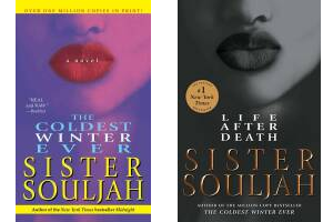 The The Coldest Winter Ever Publication Order Book Series By  
