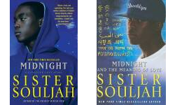 The Midnight Publication Order Book Series By  