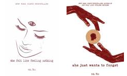 The What She Felt Publication Order Book Series By  