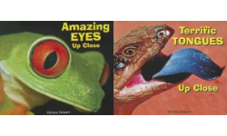 The Animal Bodies Up Close Publication Order Book Series By  