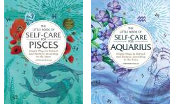 The The Little Book of Self-Care Publication Order Book Series By  