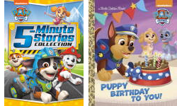 The Paw Patrol Publication Order Book Series By  