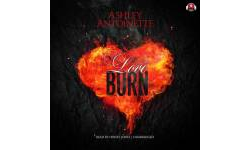 The Love Burn Publication Order Book Series By  